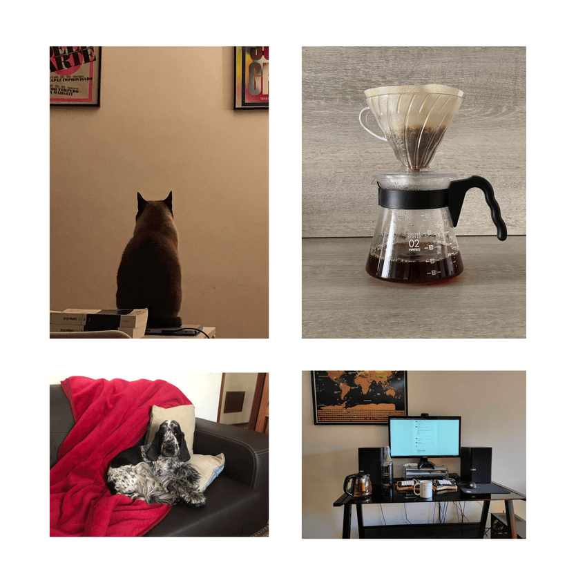 The good part is having our pets closer to us, although we did have to become
more creative with coffee.